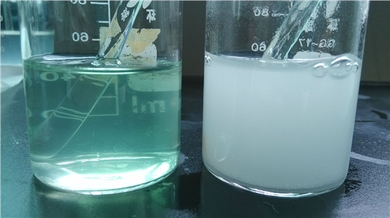 微补冲力镁与复合肥溶液混用照片 硫酸锌与复合肥溶液混配沉淀照片.jpg