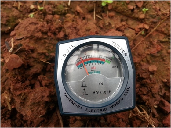土壤检测pH