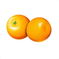柑橘营养方案