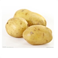 马铃薯营养方案