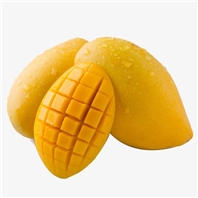 芒果营养方案