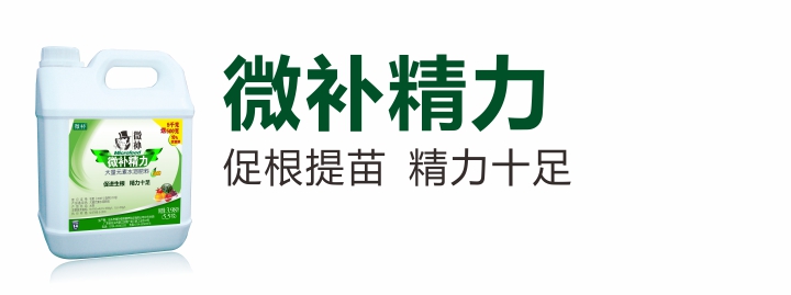 精力.jpg 精力.jpg