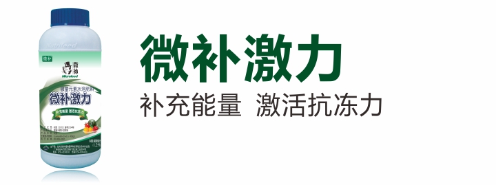 激力.jpg 激力.jpg