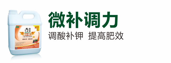 调力.jpg