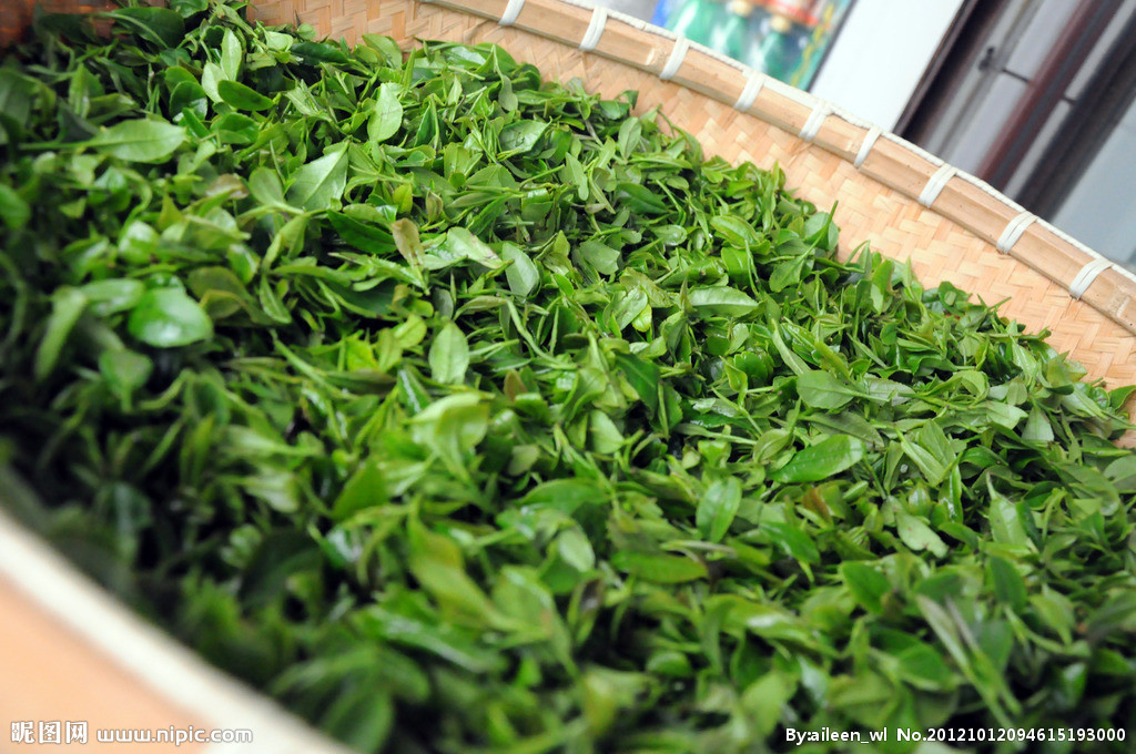 茶叶减农残，施肥要微补控氮