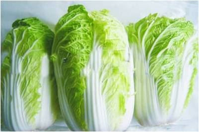 #微肥课堂#白菜类蔬菜对哪些营养元素敏感？