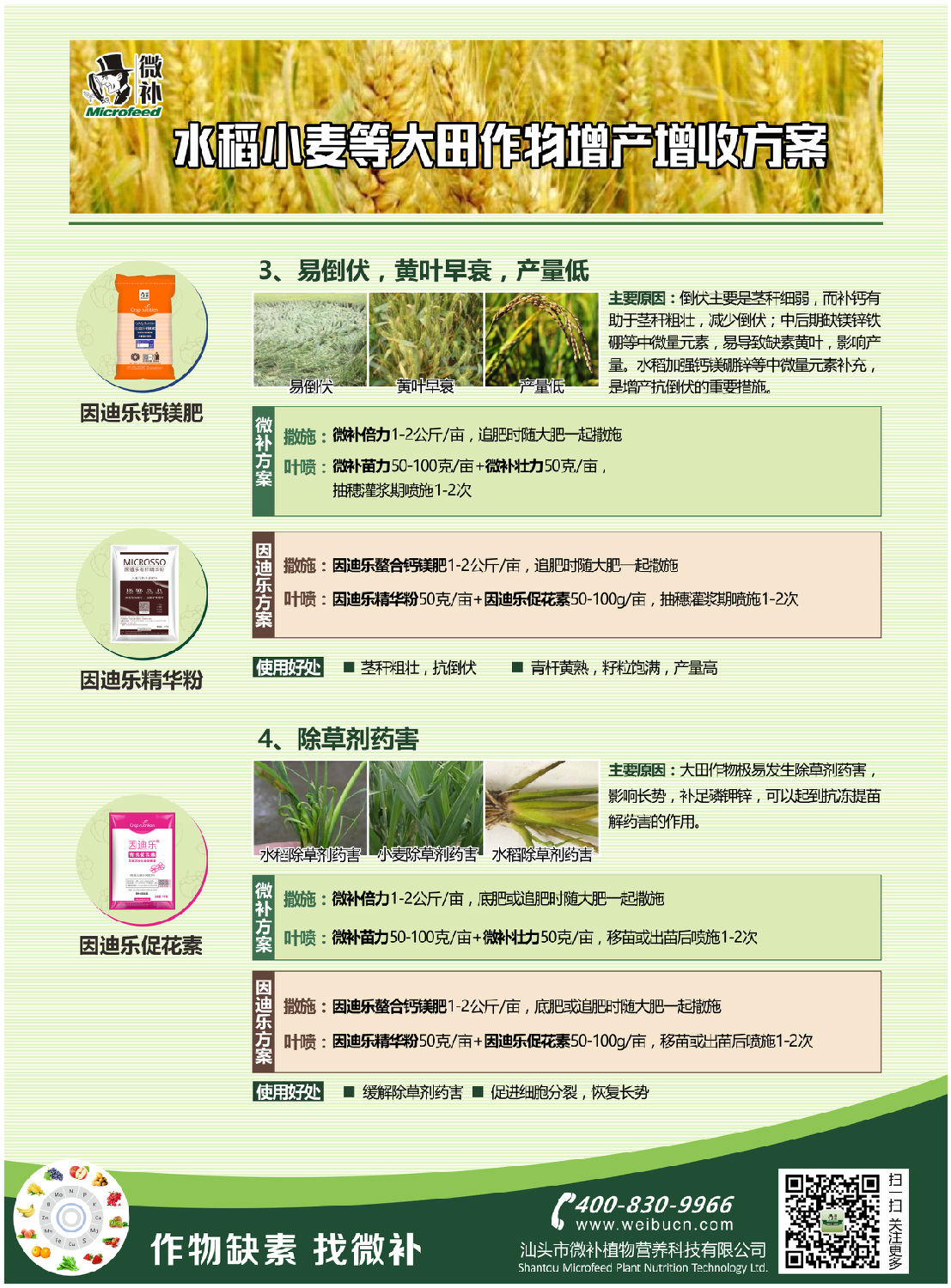 水稻小麦A42.jpg