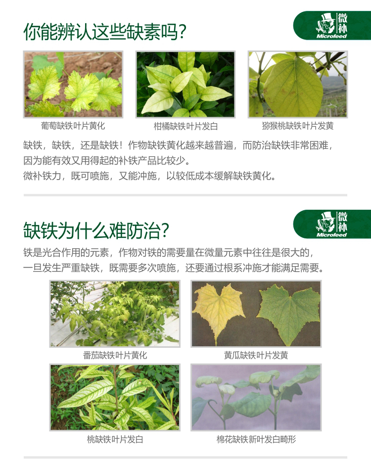 微补铁力_02.jpg