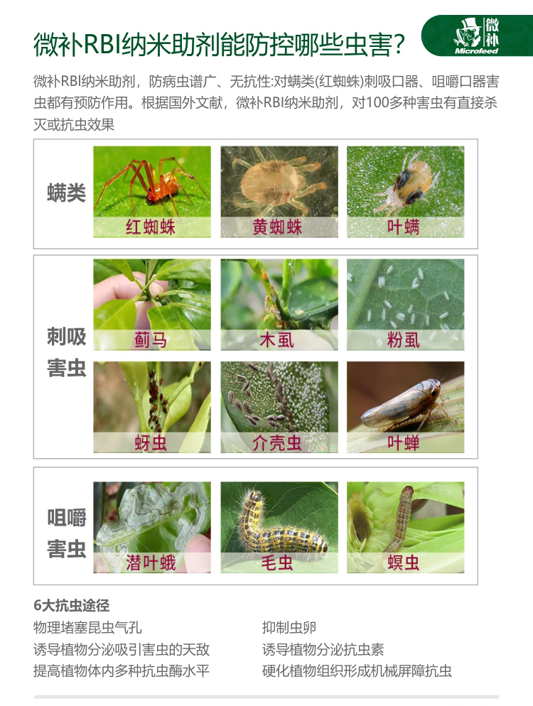 微补RBI纳米助剂9_03.jpg