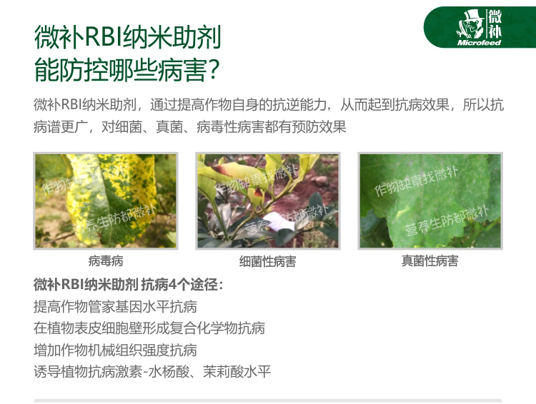 微补RBI纳米助剂9_04.jpg