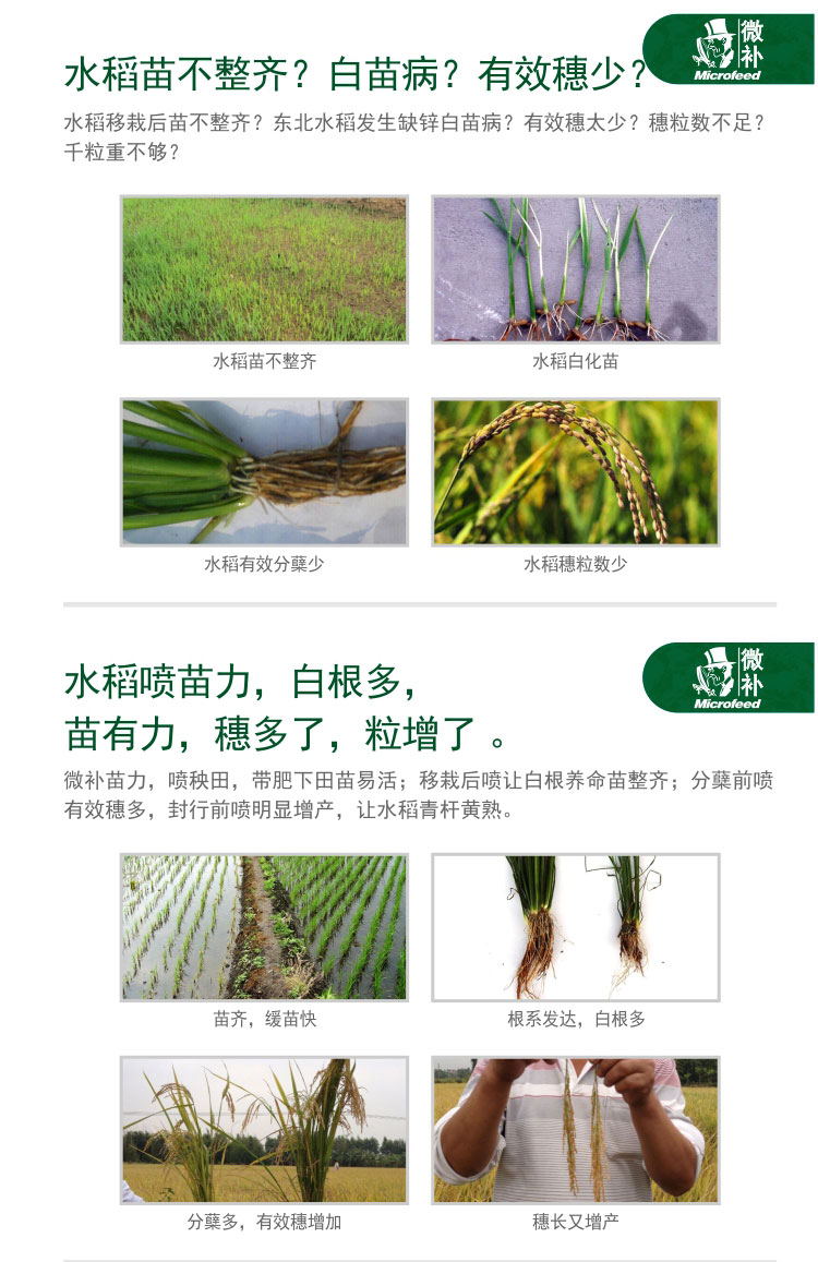 微补苗力_02.jpg