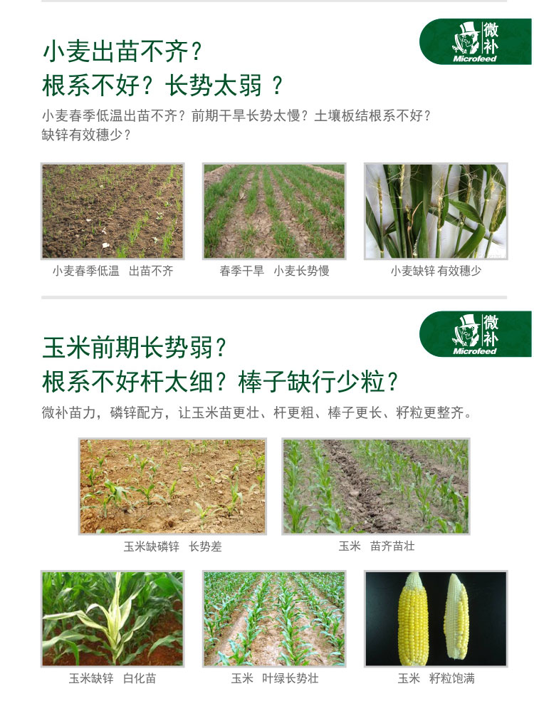 微补苗力_03.jpg