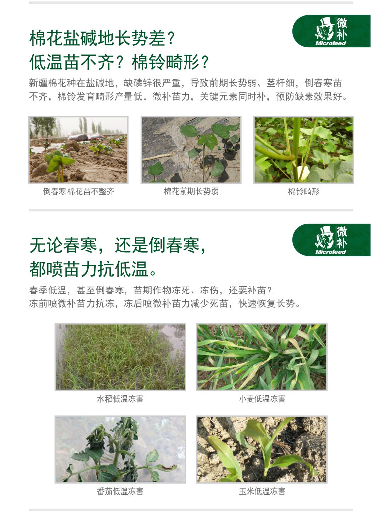 微补苗力_04.jpg