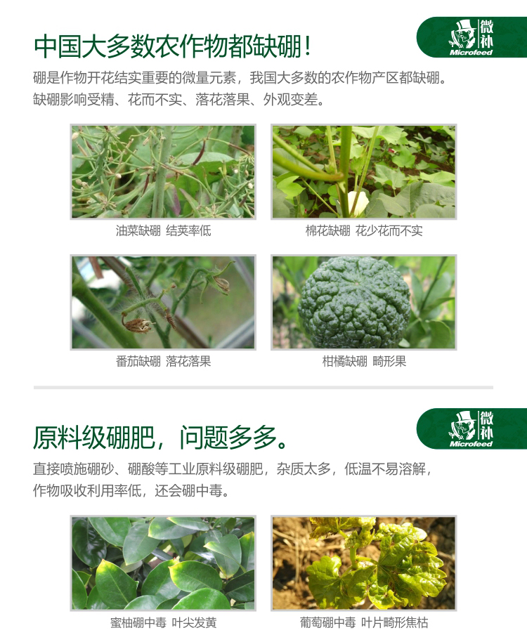 微补硼力_02.jpg