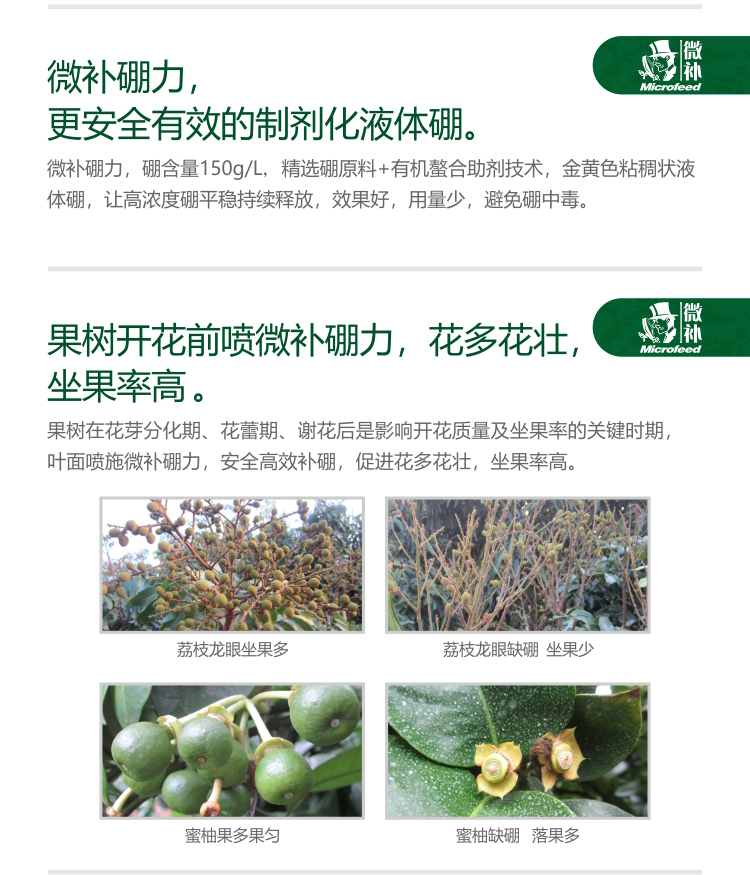 微补硼力_03.jpg