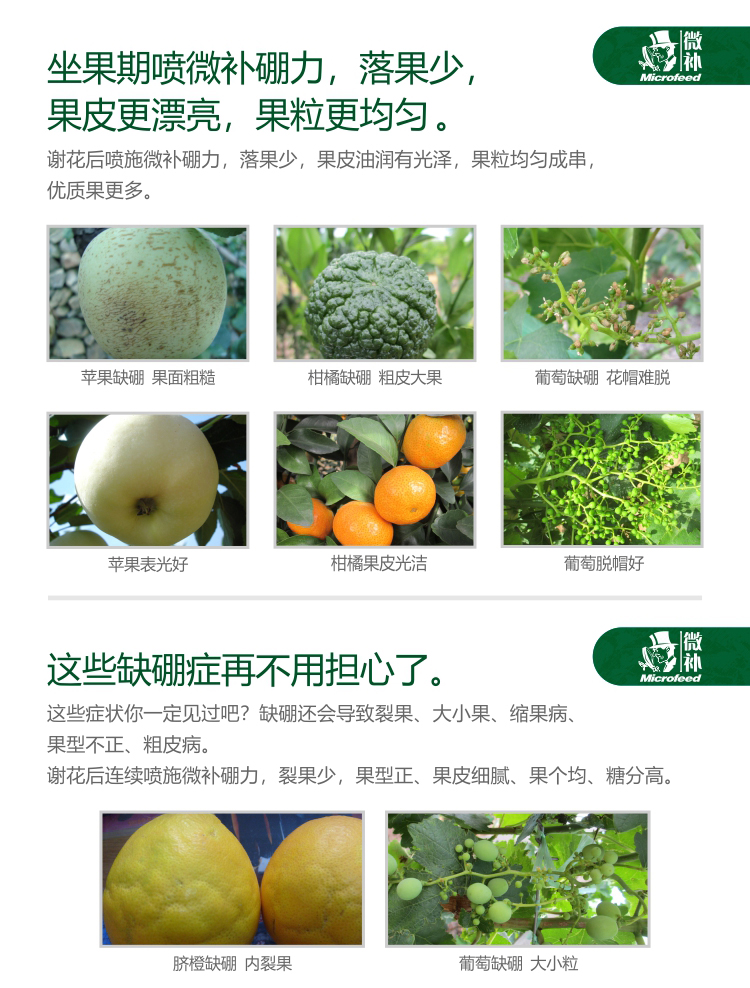 微补硼力_04.jpg