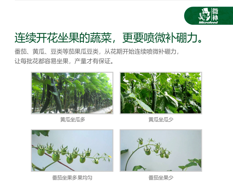 微补硼力_06.jpg