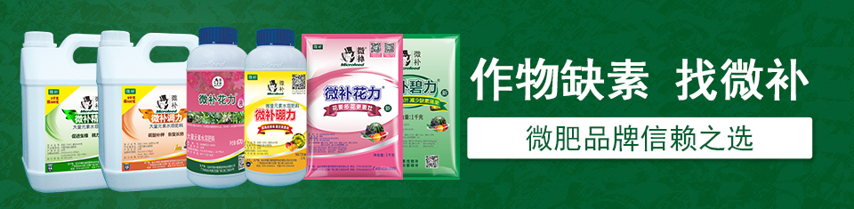 肥料批发