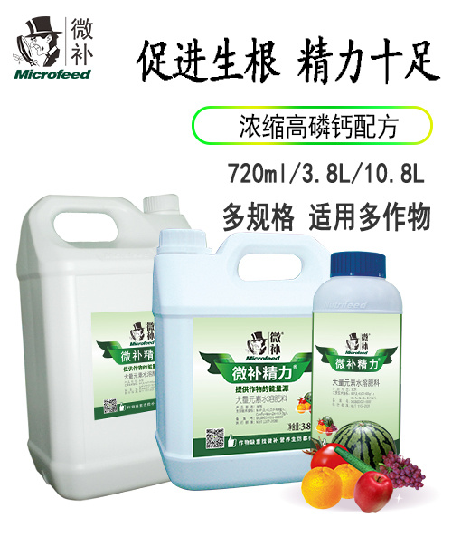 微补精力