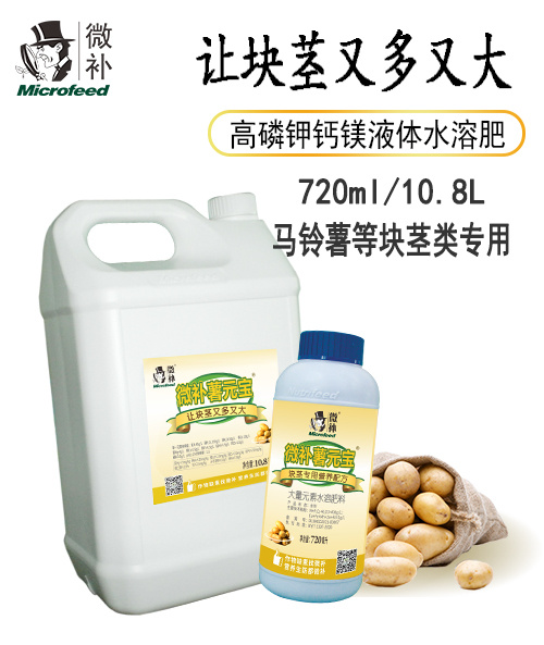 微补薯元宝