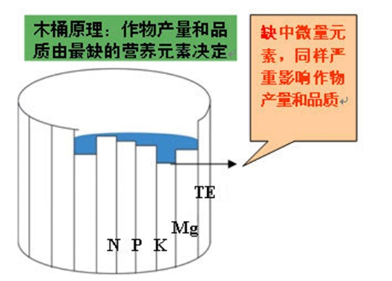 微补