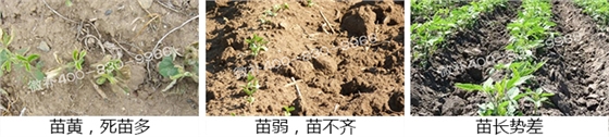 微补