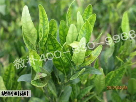 幻灯片2.JPG