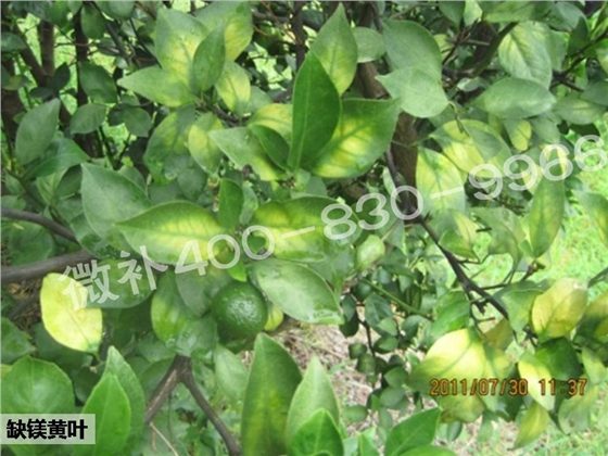 幻灯片1.JPG