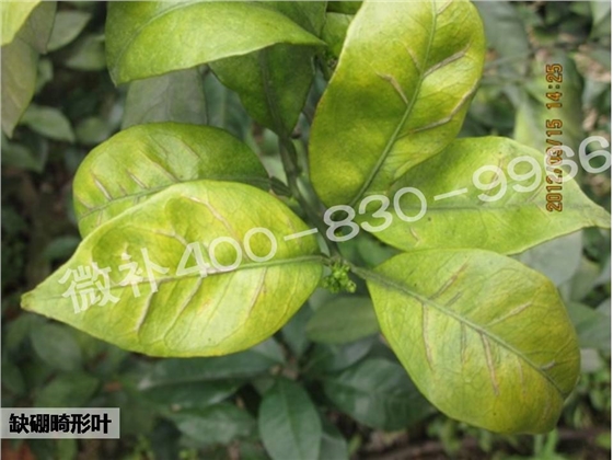幻灯片3.JPG