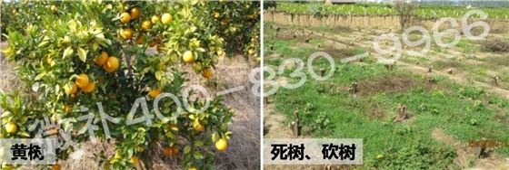搜狗截图20150210090337.jpg