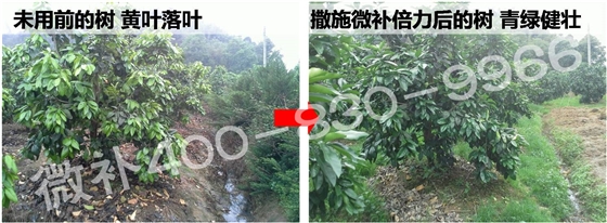 图片13.jpg