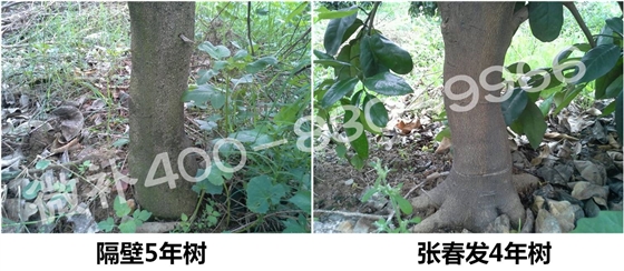 图片14.jpg