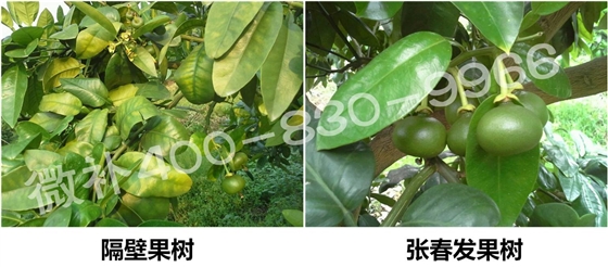 图片16.jpg