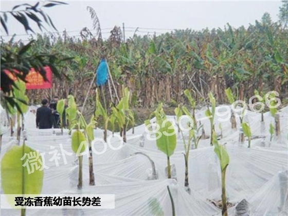 幻灯片2.JPG