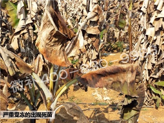 幻灯片3.JPG