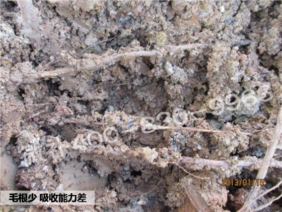 幻灯片3.JPG