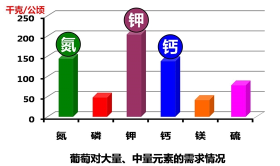 葡萄对大量中量元素需求柱图