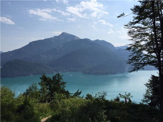 余教授奥地利乡村行：万科为什么说把奥地利小镇搬回来？