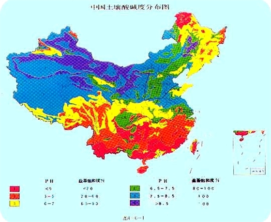 碱性土壤容易缺什么微量元素？