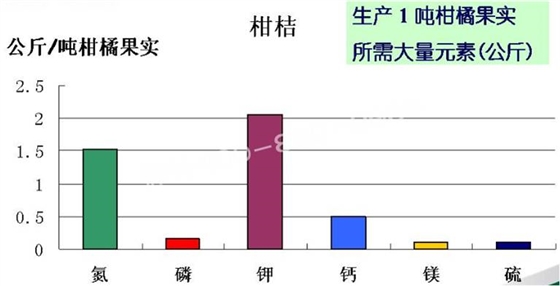 柠檬落叶，这冬肥到底该怎么下？