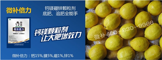 柠檬砂皮病到底是不是病？