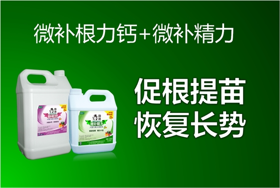 西瓜僵苗不长，怎么办？