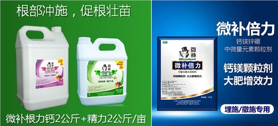 火龙果花期管理应该注意补充哪些中微量元素？