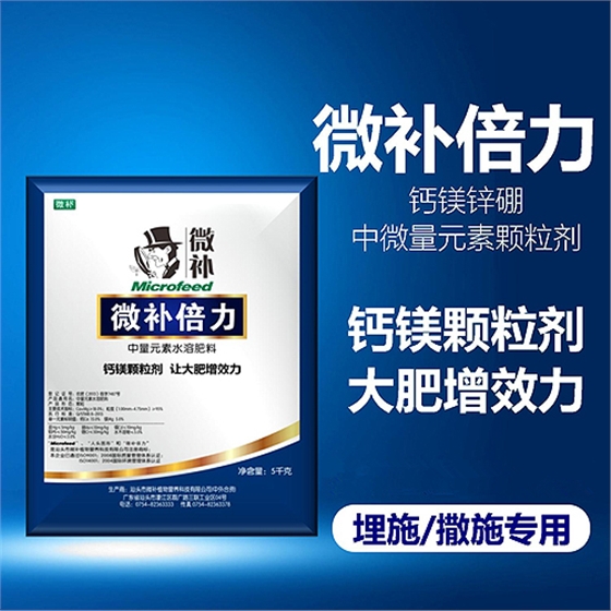 方案 (4).jpg