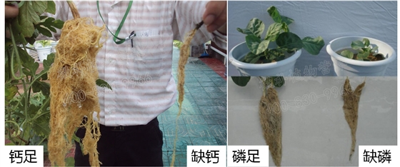 课堂 (3)副本.jpg