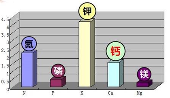 图片5.jpg