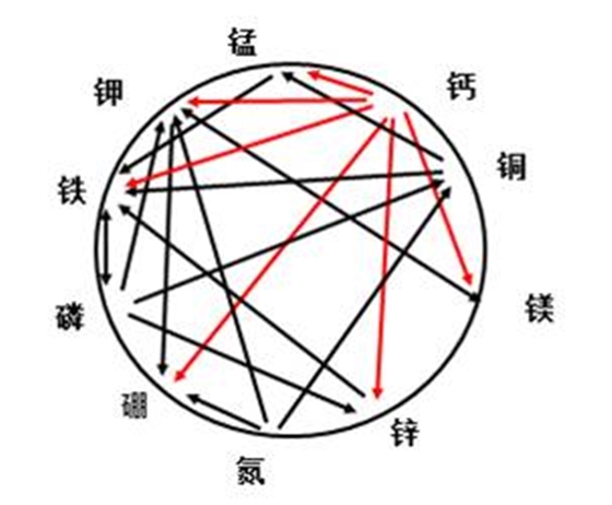 各元素之间的拮抗关系 各元素之间的拮抗关系