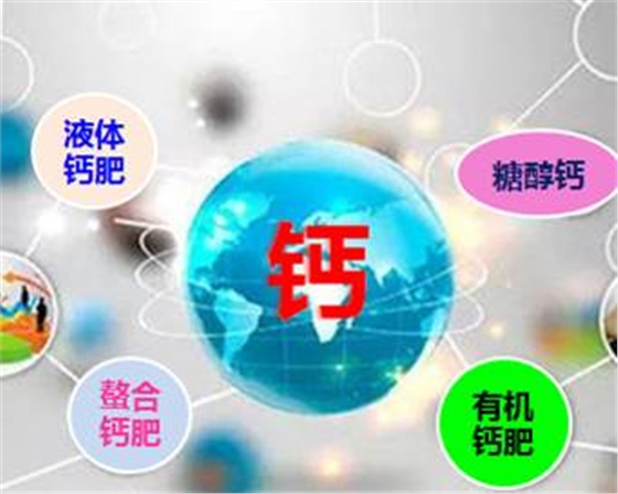钙为什么是大肥?如何有效补钙?