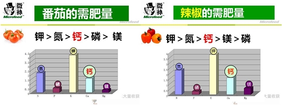 茄果类蔬菜需肥量