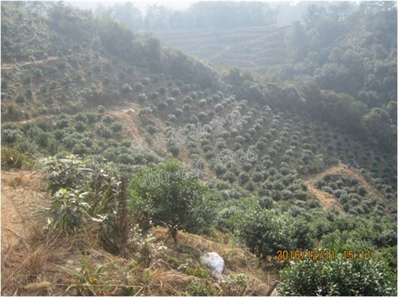 山地种植水源不便